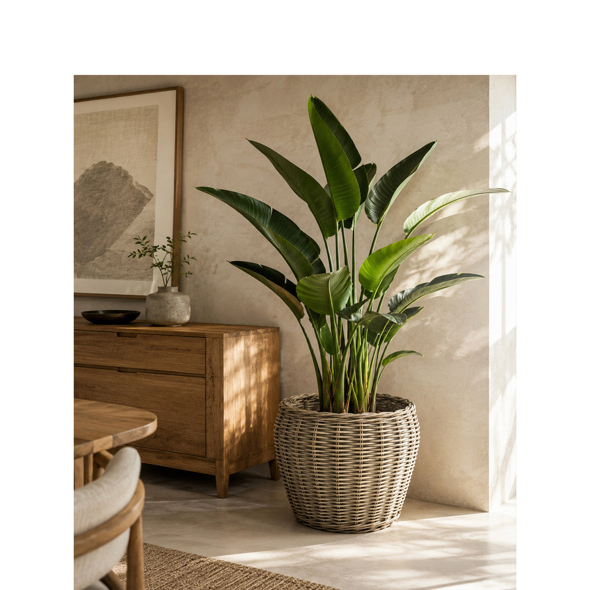 Decorative plant basket with plastic inner bag Acalora