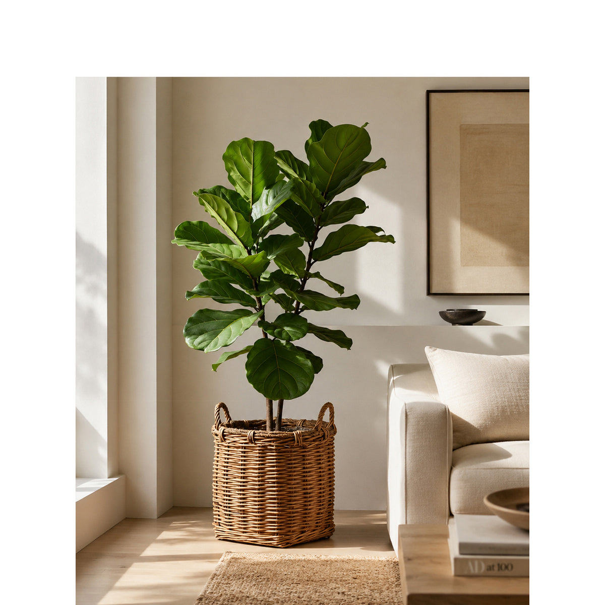 Atmospheric storage baskets Acalora