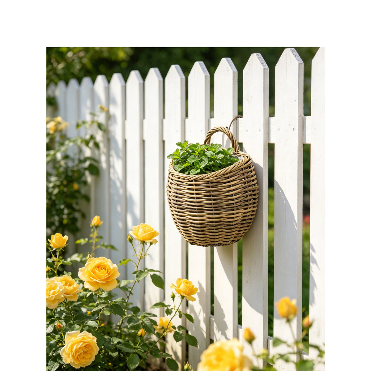 Presentation basket Acalora