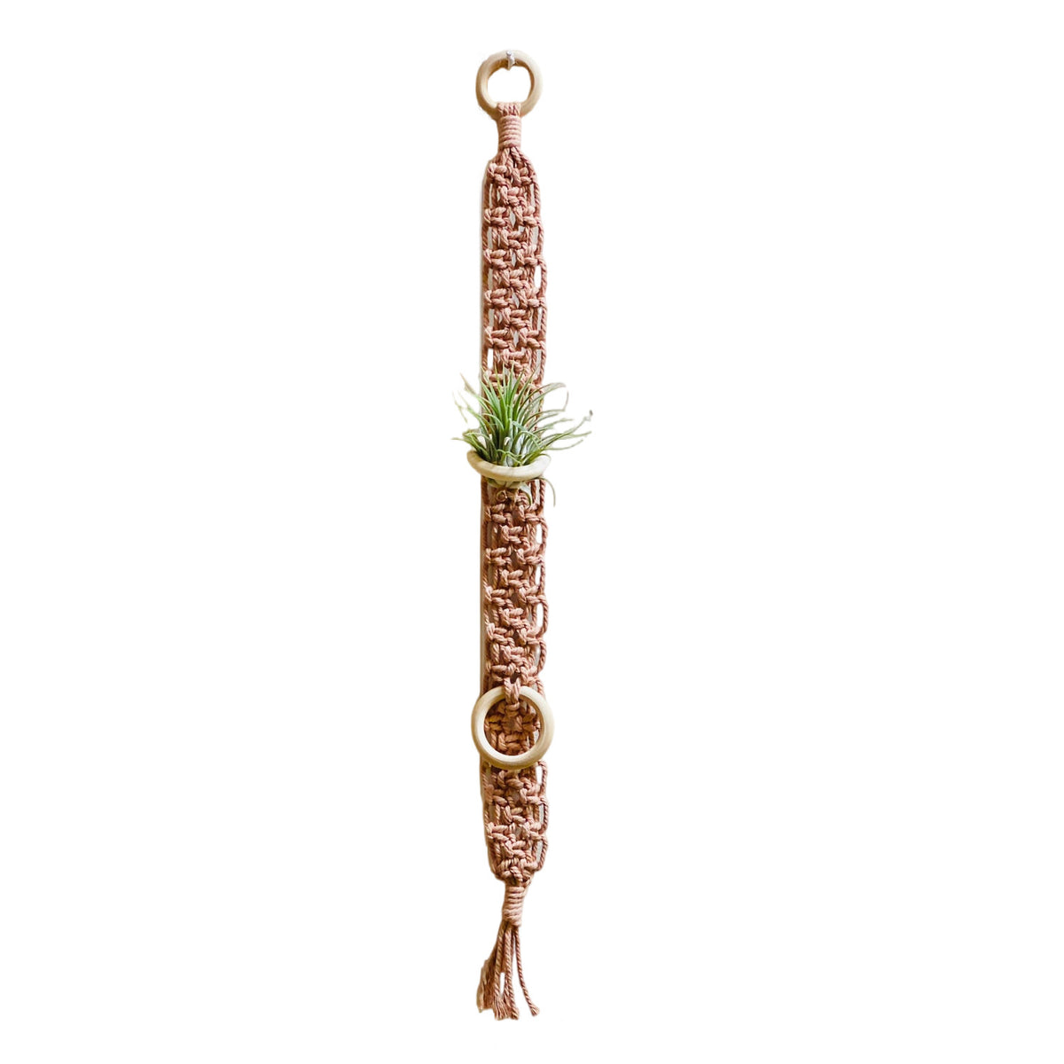 Macrame Wall Plant Holder Acalora
