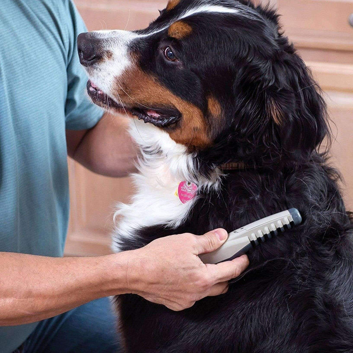 BowLift | Electric Pet Grooming Comb - The Ultimate Pet Grooming Tool