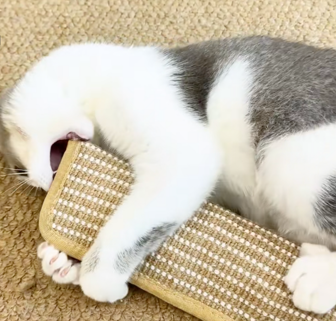 Krallex® — Unleash your cat's wild hunting frenzy for hours of play fun and healthy teeth | Kalsten
