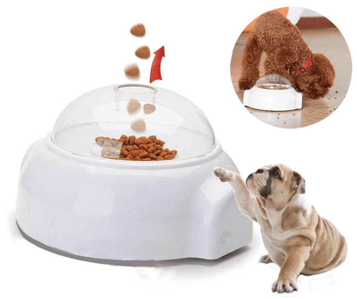 Creative Goodies Activity Toy for Dogs and Cats | Kalsten