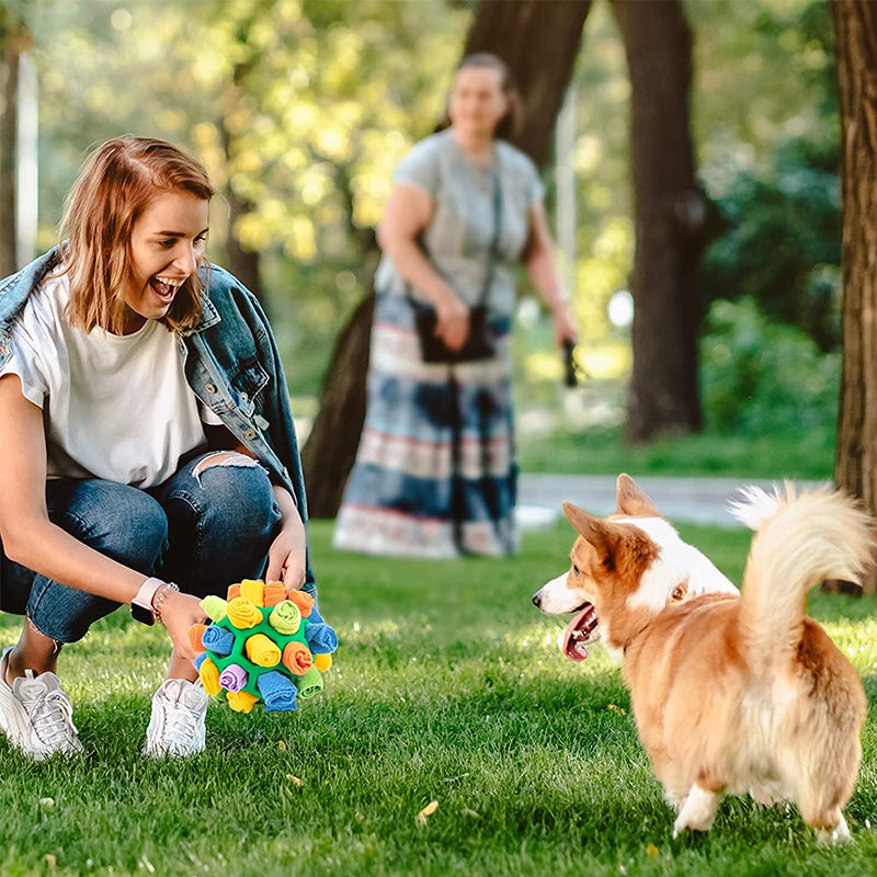 Sniffle ball for pets | Kalsten