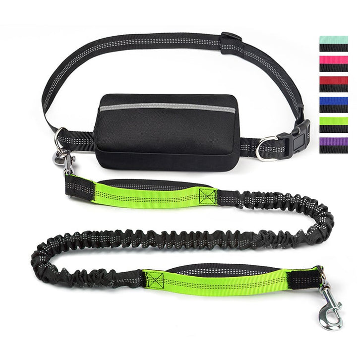 FlowLeash — Experience gentle control and relaxed walks without jerks! | Kalsten