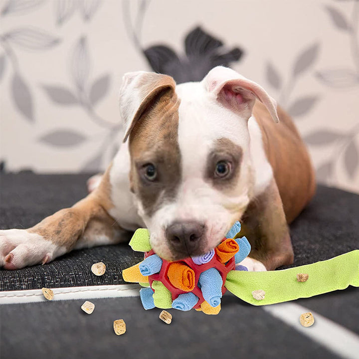 Sniffle ball for pets | Kalsten