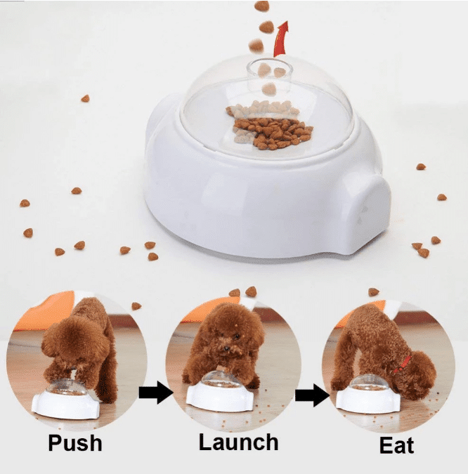 Creative Goodies Activity Toy for Dogs and Cats | Kalsten