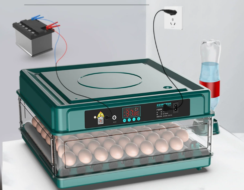 Kalsten | Digital Egg Incubator with Adjustable Tray