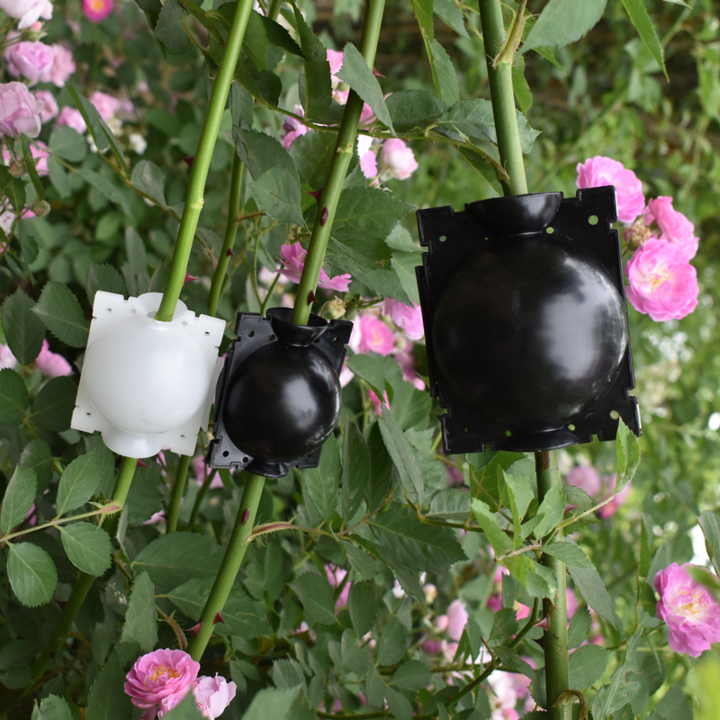 Air Layer Plant Propagation Capsule | Kalsten