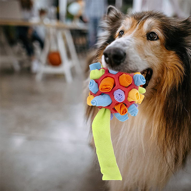 Sniffle ball for pets | Kalsten