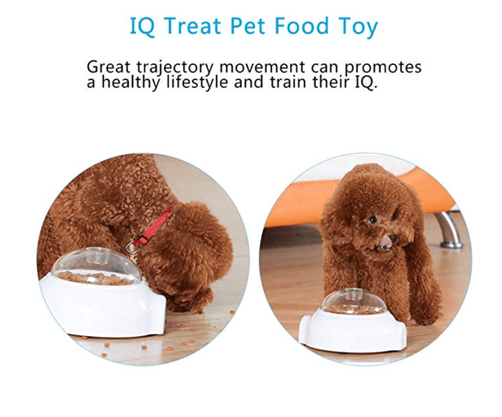 Creative Goodies Activity Toy for Dogs and Cats | Kalsten