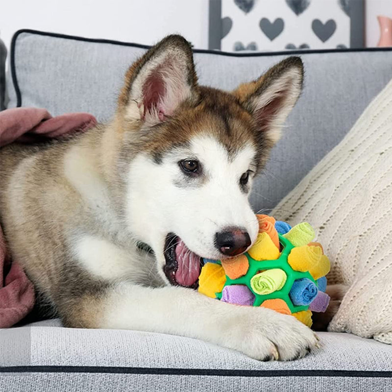 Sniffle ball for pets | Kalsten