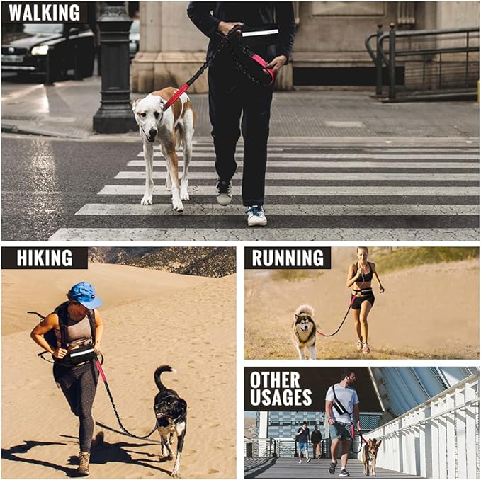 Kalsten | PawsFree Pro – Enjoy stress-free walks with your dog