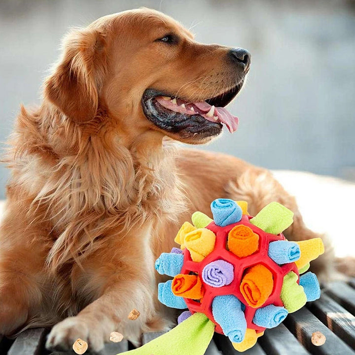 Sniffle ball for pets | Kalsten