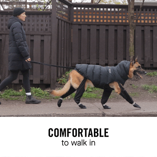 Skanto | Paw Boots