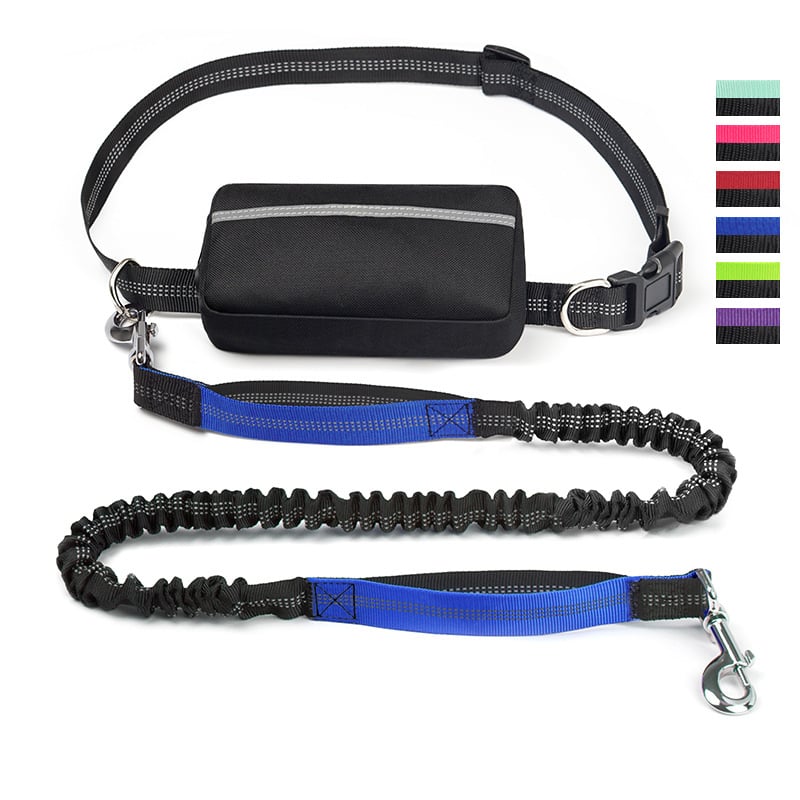 FlowLeash — Experience gentle control and relaxed walks without jerks! | Kalsten