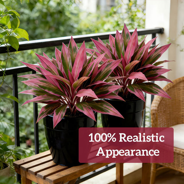 VerdoGlow — Vibrant freshness without effort that will transform your home forever | Kalsten