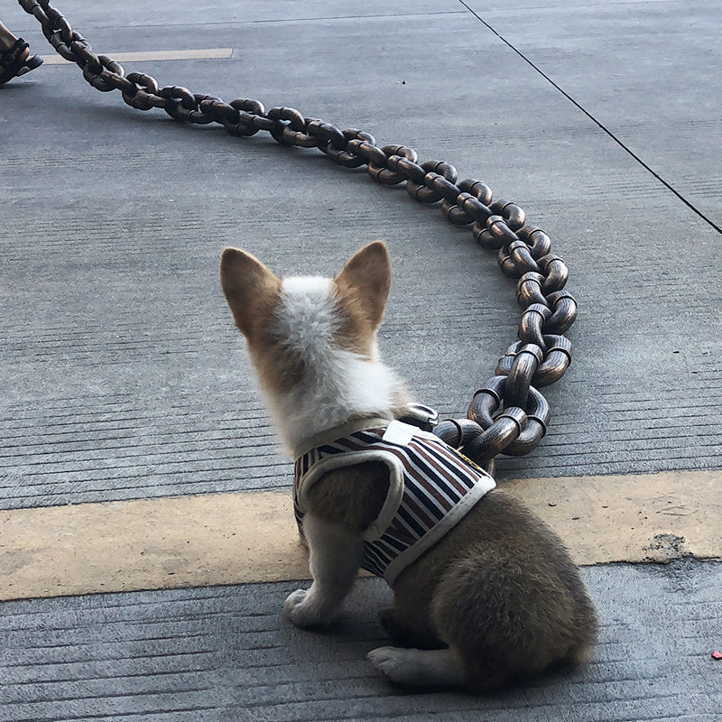 BowLift | Funny Dog Leash