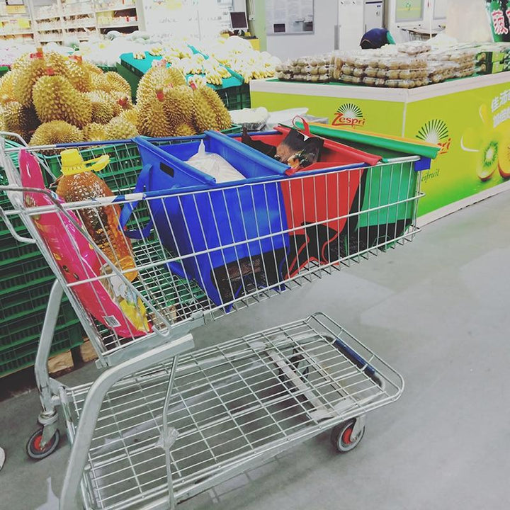 ShopEz - Shopping Cart Grocery Bags | Kalsten