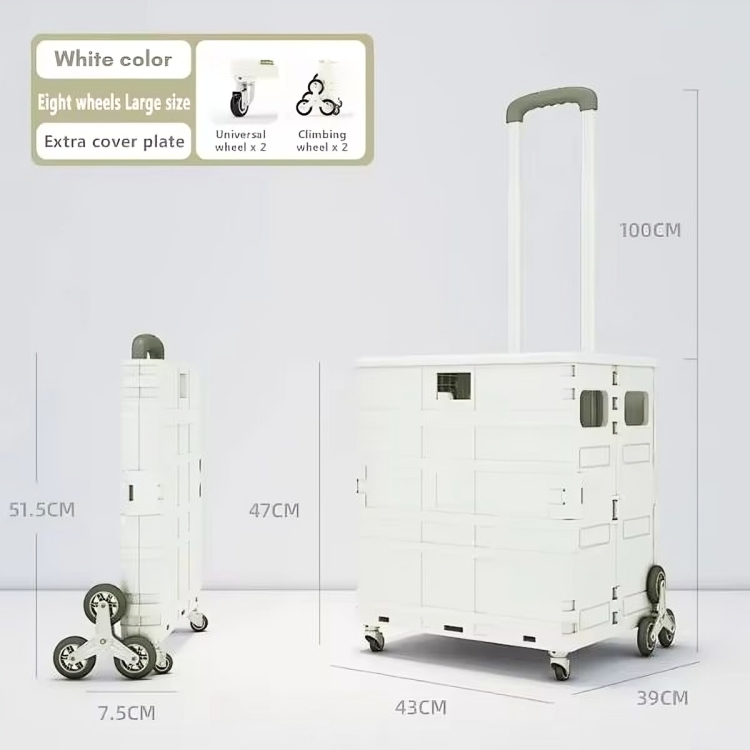 RamoraLift — Effortlessly master every step and enjoy back freedom | Kalsten