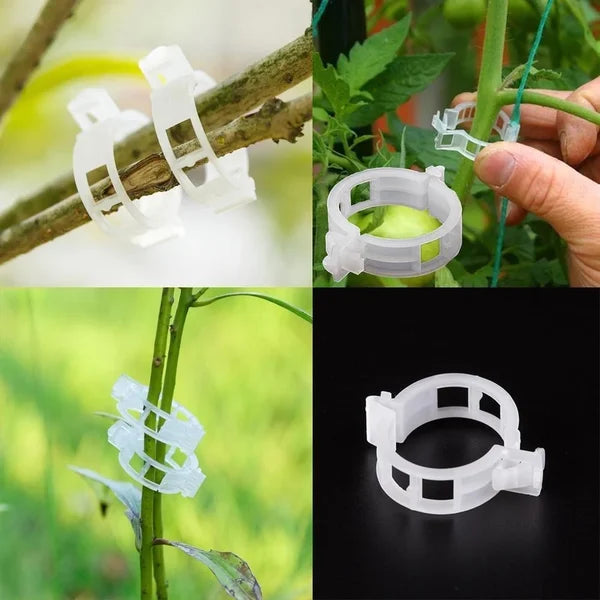 GripKing Clips — Keep your plants strong and discover effortless, healthy growth! | Kalsten