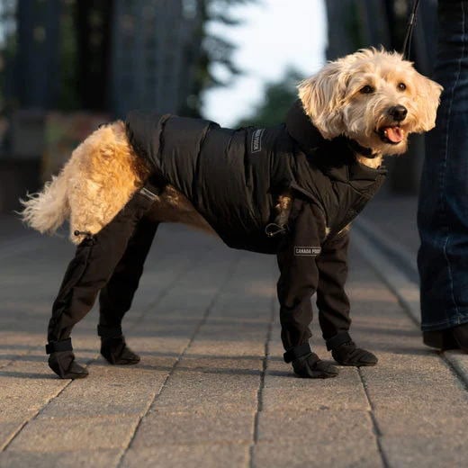 Skanto | Paw Boots