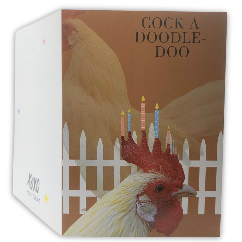 Kalsten | Funny Pop Up Tail Birthday Card Gift