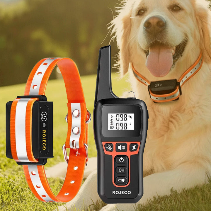 Kalsten | 1000m Waterproof Dog Training Collar | Rechargeable, Remote Control & Adjustable for Small, Medium, and Large Dogs