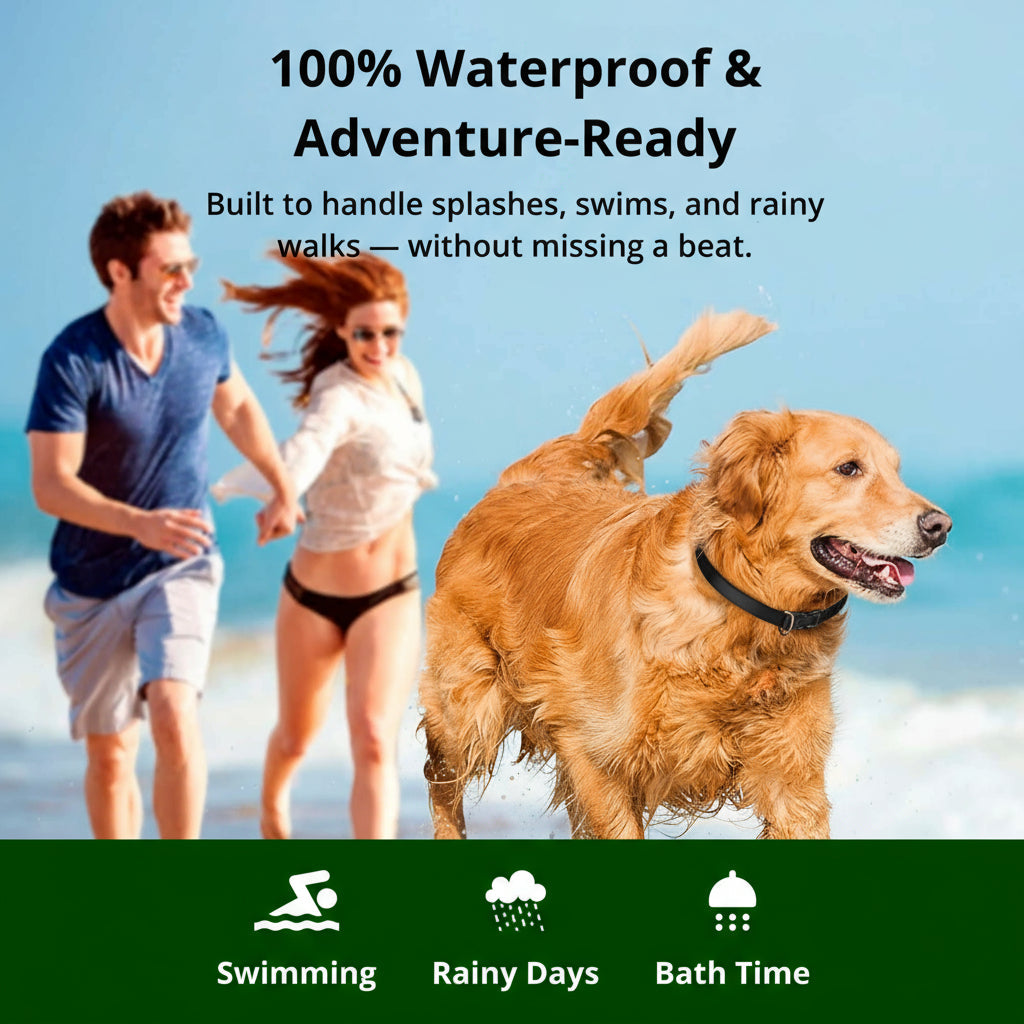 Kalsten | 1000m Waterproof Dog Training Collar | Rechargeable, Remote Control & Adjustable for Small, Medium, and Large Dogs
