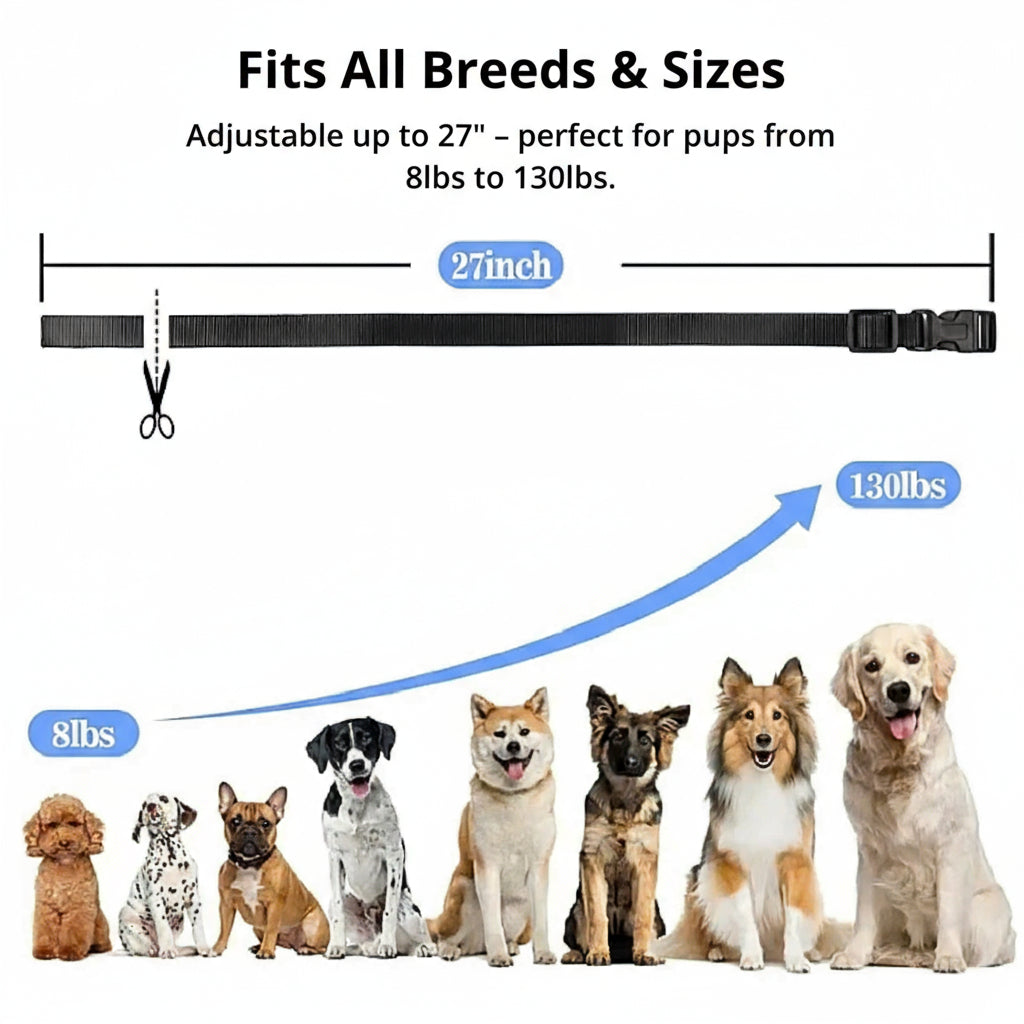 Kalsten | 1000m Waterproof Dog Training Collar | Rechargeable, Remote Control & Adjustable for Small, Medium, and Large Dogs
