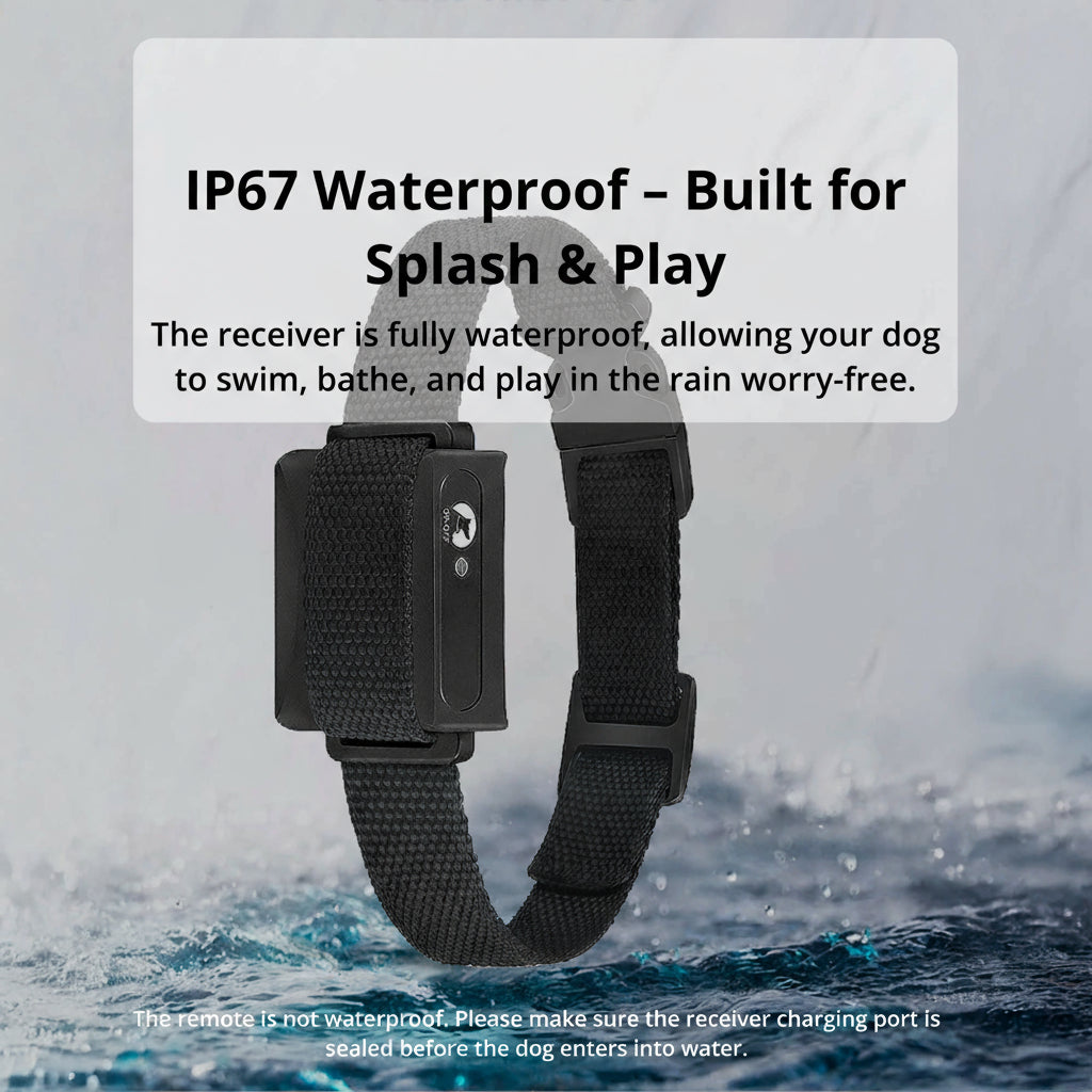 Kalsten | 1000m Waterproof Dog Training Collar | Rechargeable, Remote Control & Adjustable for Small, Medium, and Large Dogs