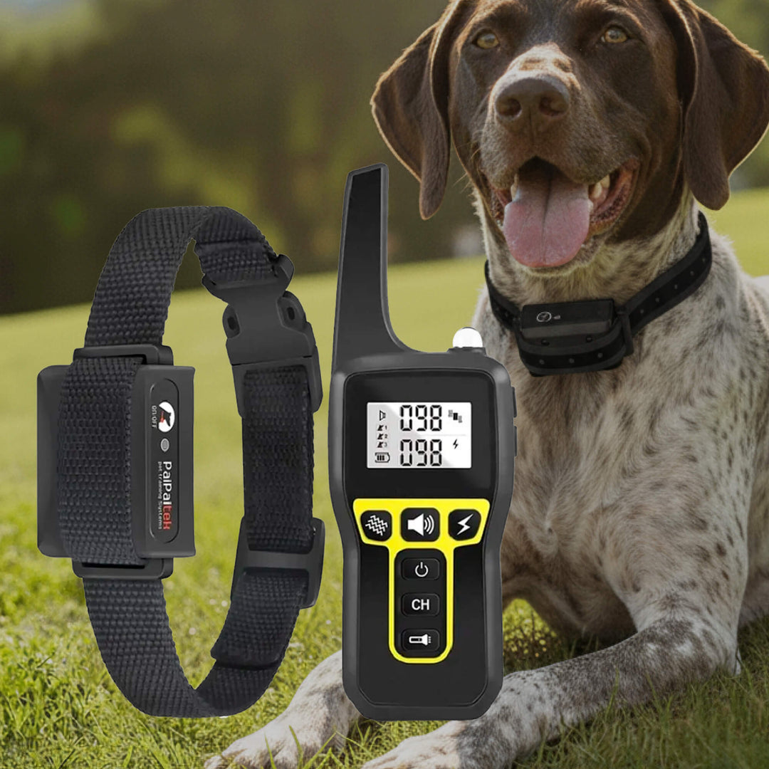 Kalsten | 1000m Waterproof Dog Training Collar | Rechargeable, Remote Control & Adjustable for Small, Medium, and Large Dogs
