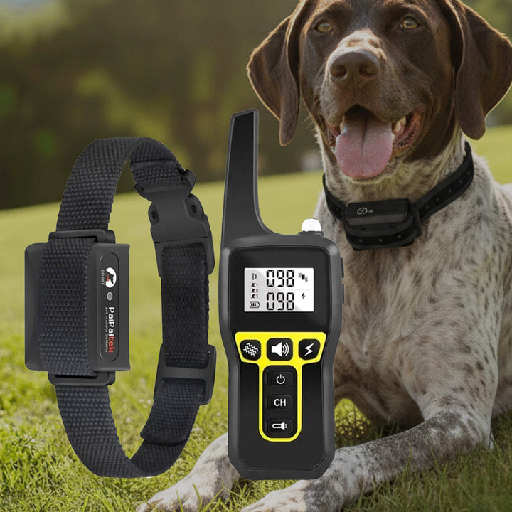 Kalsten | 1000m Waterproof Dog Training Collar | Rechargeable, Remote Control & Adjustable for Small, Medium, and Large Dogs
