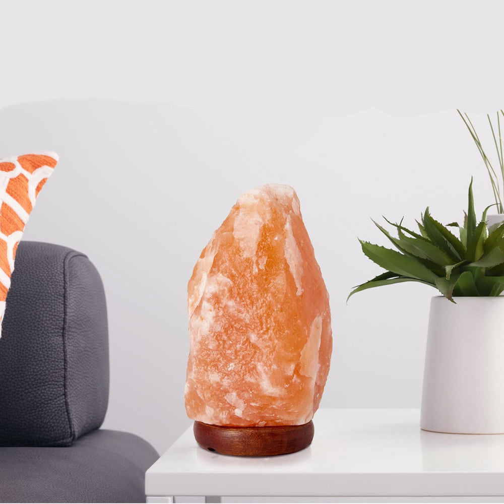 Himalayan Salt Lamp with Dimmer Switch | Kalsten