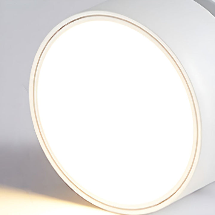 LED Ceiling Lamp with Adjustable Spotlight Kalsten