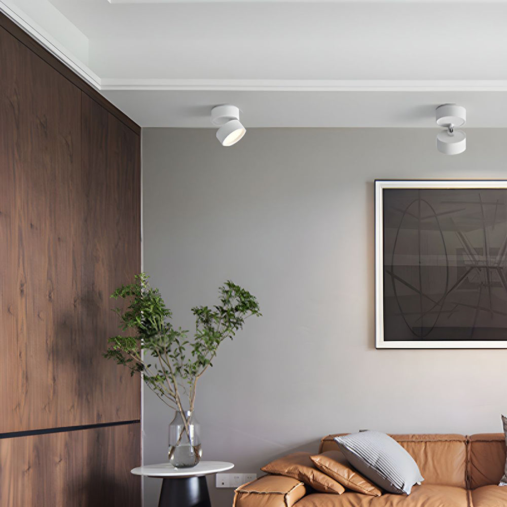 LED Ceiling Lamp with Adjustable Spotlight Kalsten