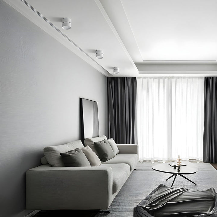 LED Ceiling Lamp with Adjustable Spotlight Kalsten