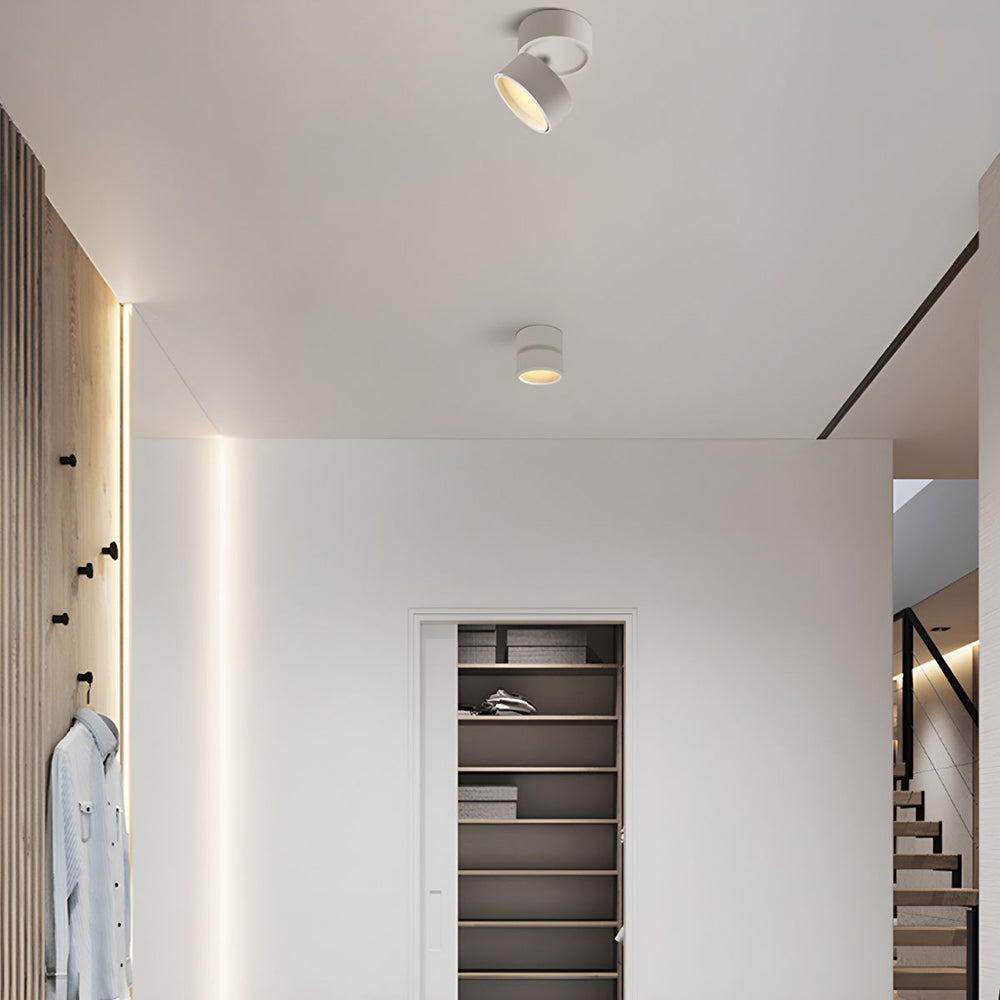 LED Ceiling Lamp with Adjustable Spotlight Kalsten