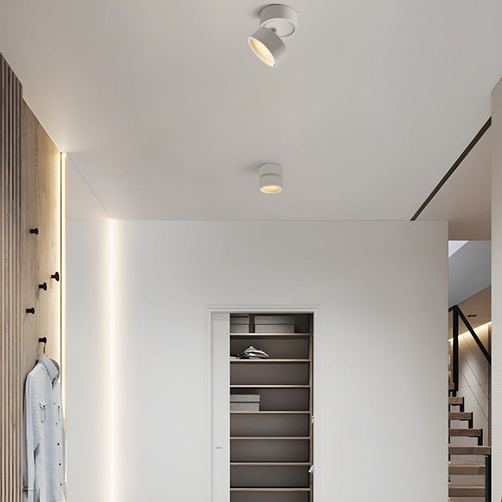LED Ceiling Lamp with Adjustable Spotlight Kalsten