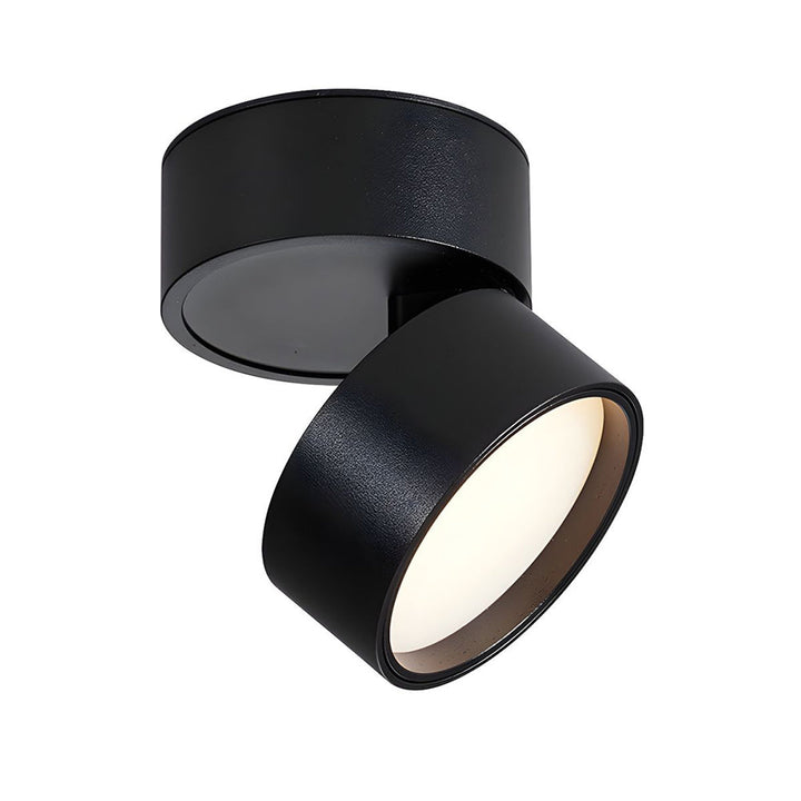 LED Ceiling Lamp with Adjustable Spotlight Kalsten