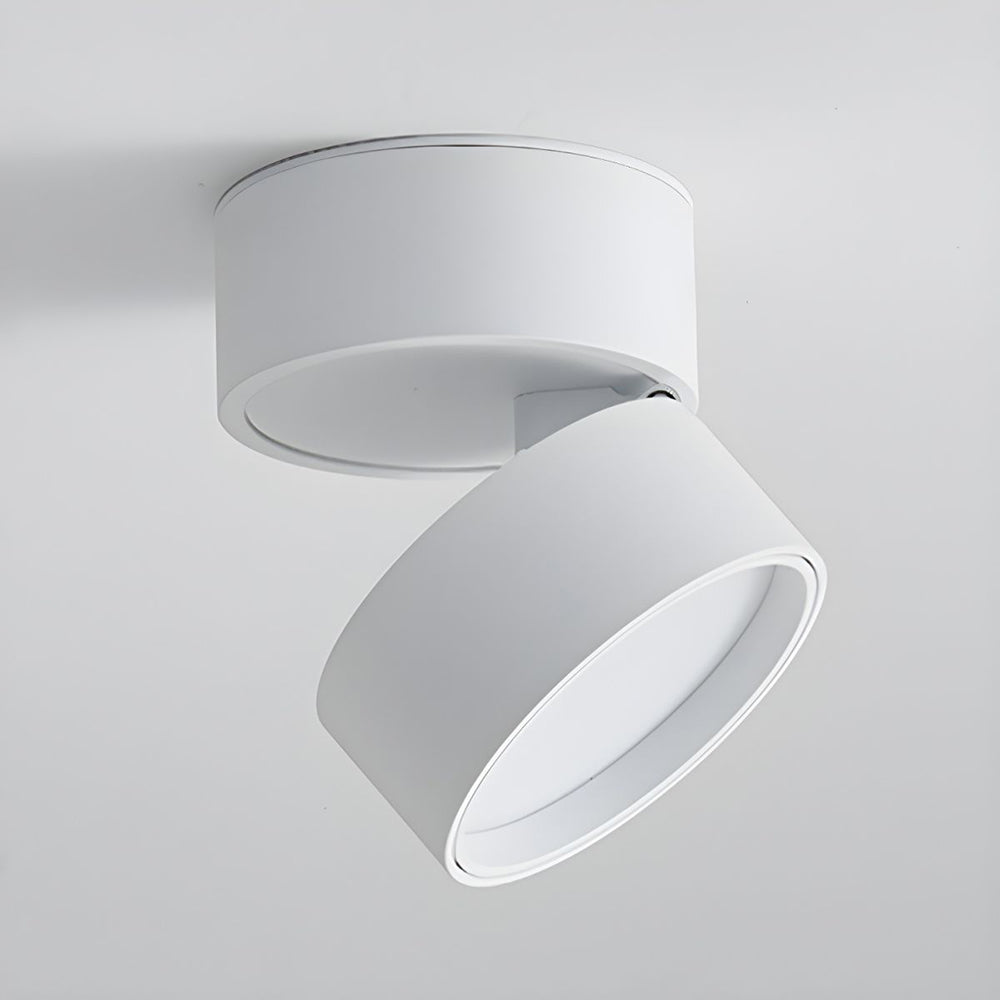 LED Ceiling Lamp with Adjustable Spotlight Kalsten