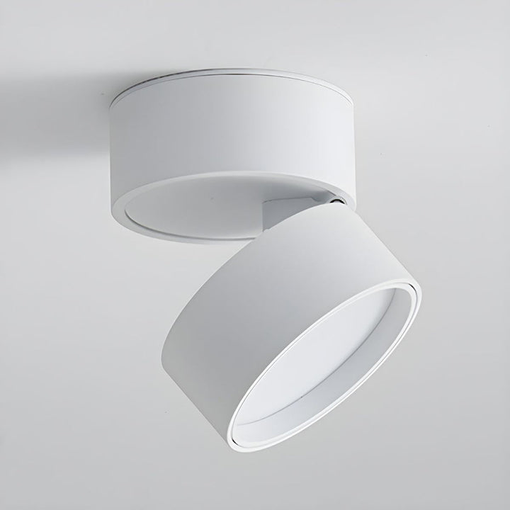 LED Ceiling Lamp with Adjustable Spotlight Kalsten