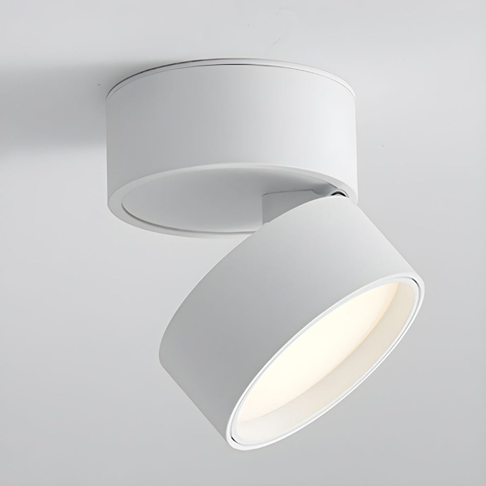 LED Ceiling Lamp with Adjustable Spotlight Kalsten