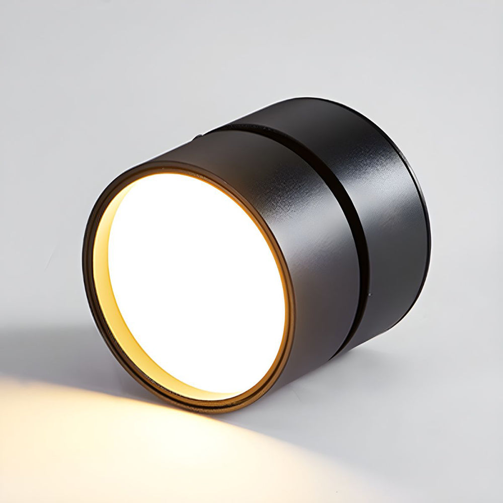 LED Ceiling Lamp with Adjustable Spotlight Kalsten