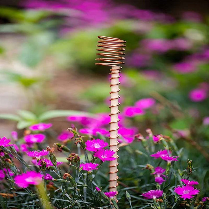 Copper plant stakes 30 cm | Kalsten
