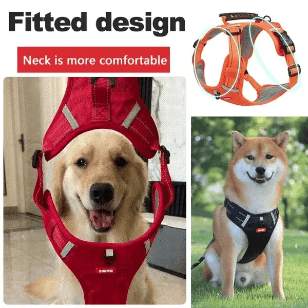 DogGrip Walk safely with your dog | Kalsten
