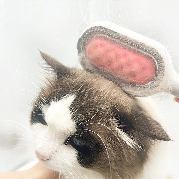 Pet Hair Removal Comb with Water Reservoir | Kalsten