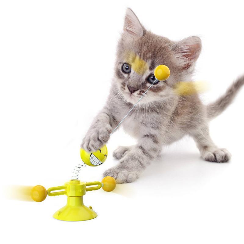 Multifunctional Rotary Toy for Cat | Kalsten