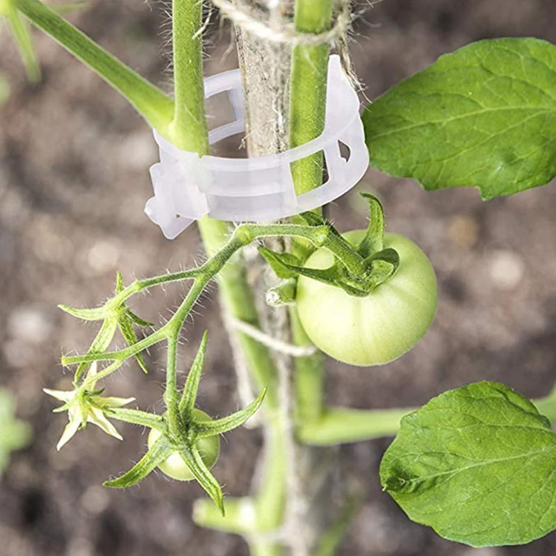 Plant support clips | Kalsten