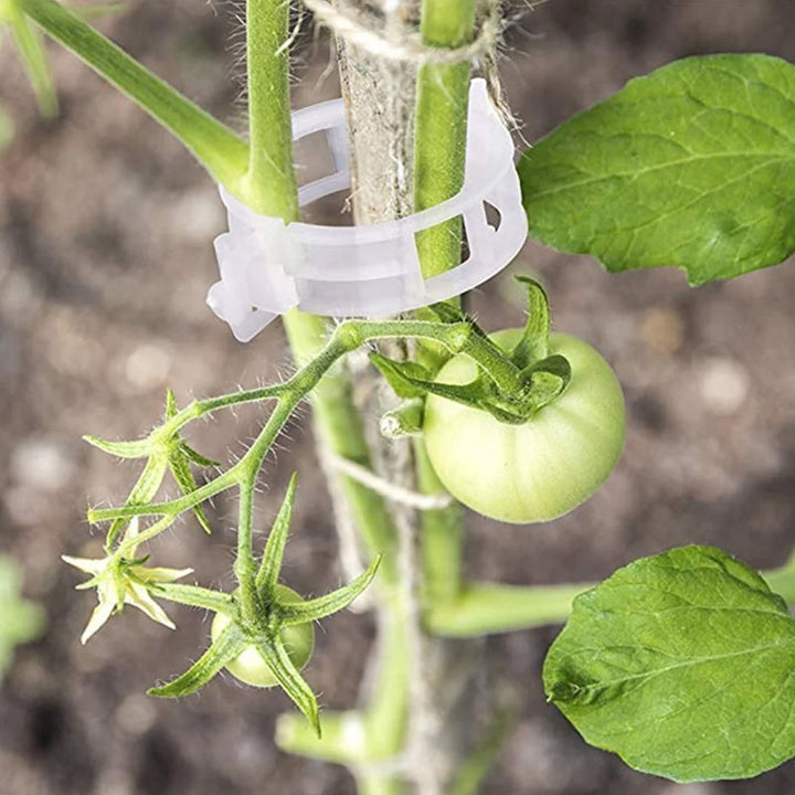 Plant support clips | Kalsten